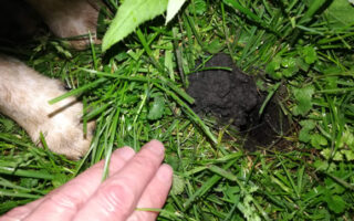 MysteryBurrows-Part1