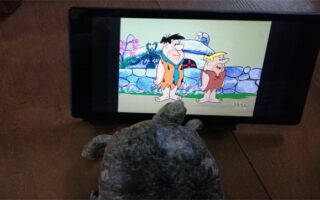 Artie_12-2-22 Artie_12-2-22