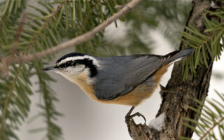 ChristmasGifts2022_12-30-22 ChristmasGifts2022_12-30-22