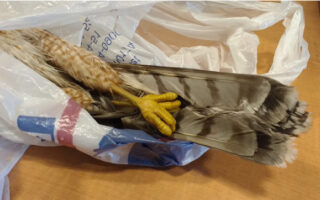 PoisonFoodChain2023_1-13-23 PoisonFoodChain2023_1-13-23