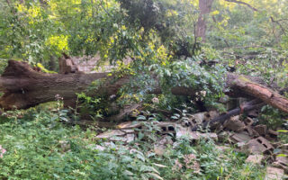 MonkeyHouseFinal_9-1-23