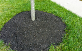 Volcano Mulch