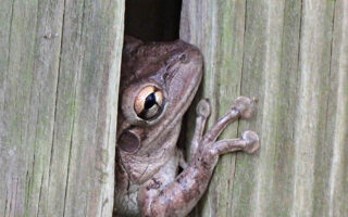 PP-10-19-12 PP-10-19-12