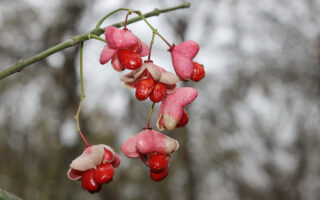 PP-10-5-12 PP-10-5-12