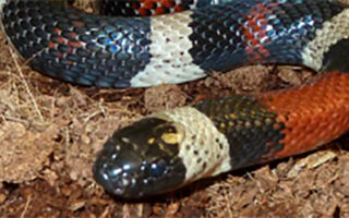 PP-11-30-12 PP-11-30-12