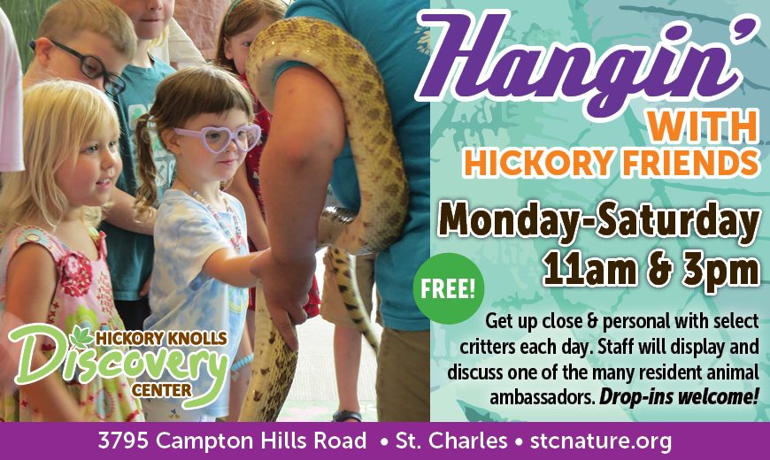 Hangin With Hickory Friends