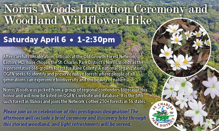 Norris Woods Ceremony
