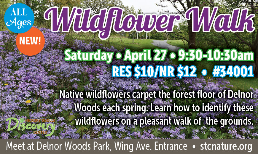Wildflower Walk