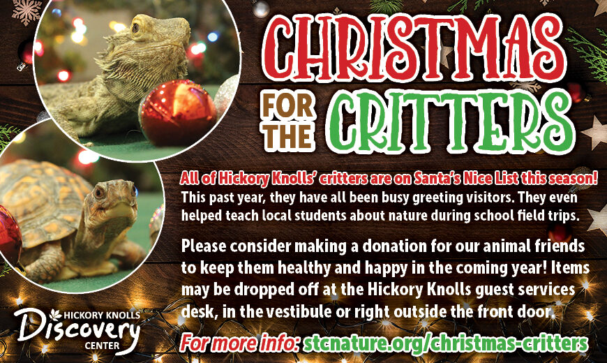 ChristmasForTheCritters_2025_REACH