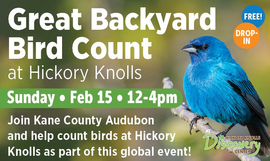 Great Backyard Bird Count