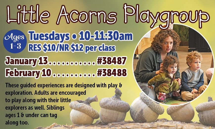 Little Acorns Playgroup