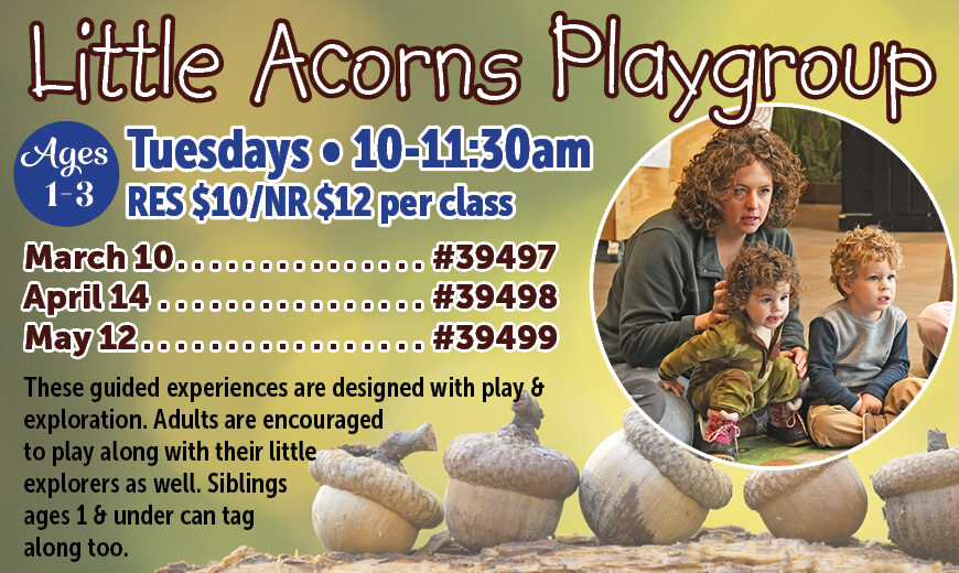 HKDC_LittleAcornsPlaygroup_SP26_REACH