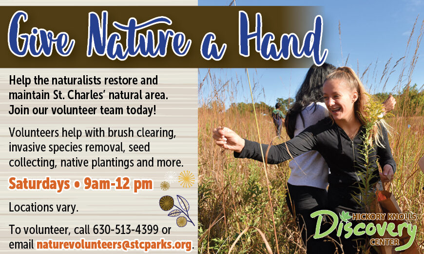 HKDC_Volunteers2026_SPRING-REACH