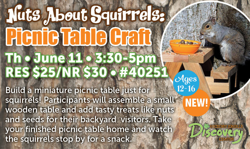 HKDC_NutsAboutSquirrels_SU26_REACH