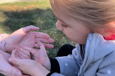 Child Looking at a Bug
