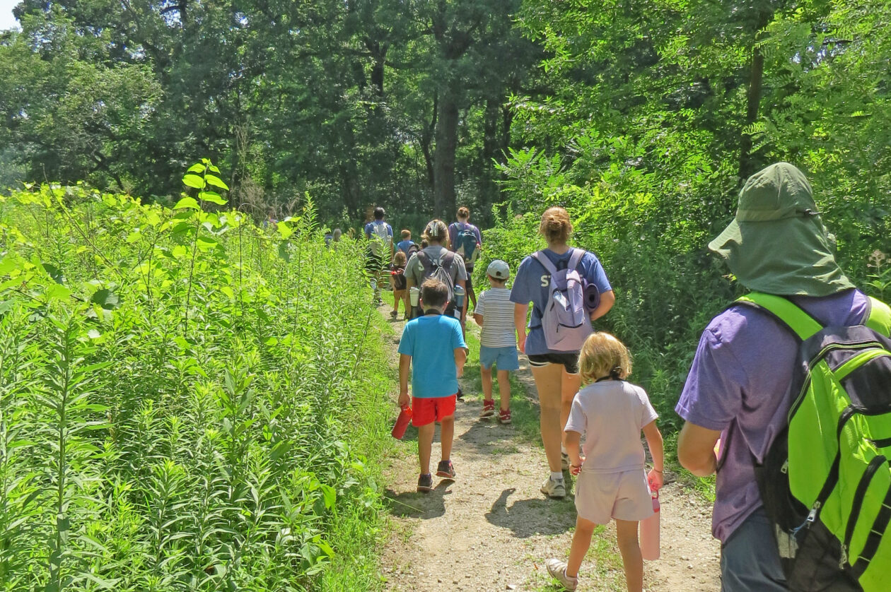 Children Going on a Hike