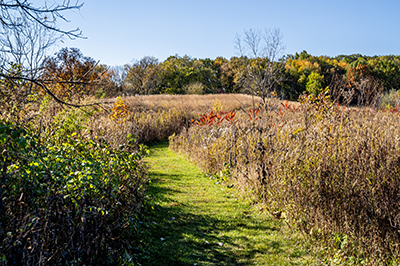 Natural Area